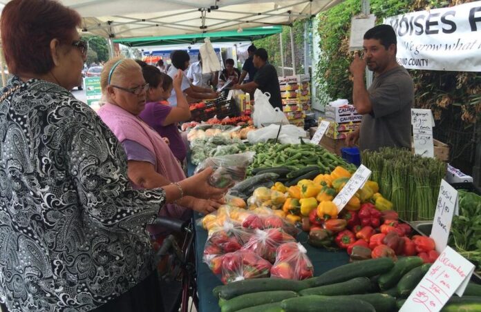 El Proyecto de Ley Senatorial 635 protege a los vendedores ambulantes de las agencias federales.