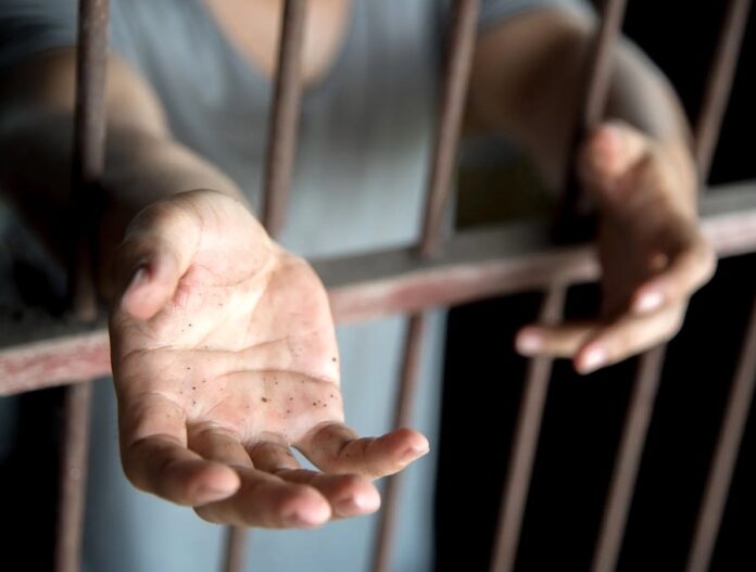 Crédito: Getty Images/EyeEm.